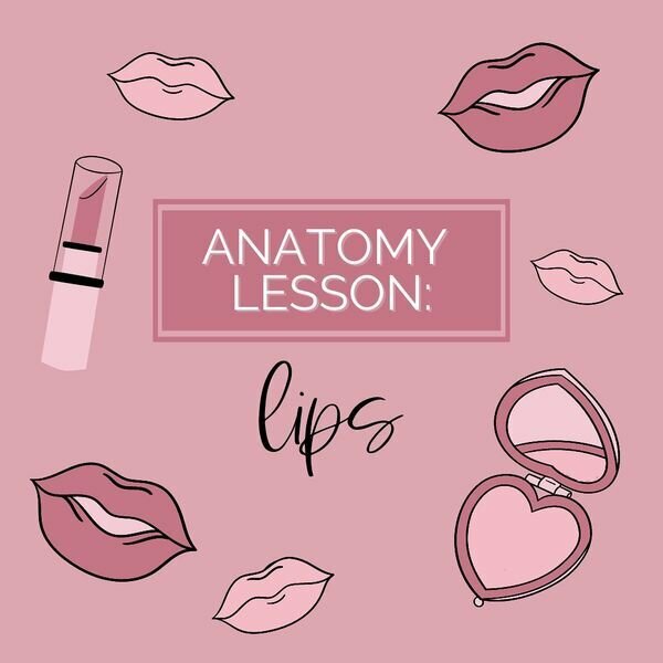 Anatomy Lesson: Lips