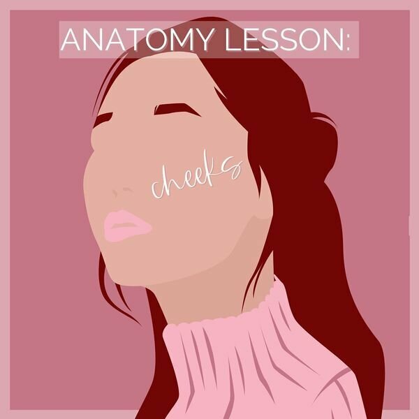 Anatomy Lesson: Cheeks