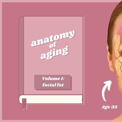 Anatomy of Aging volume 1: facial fat
