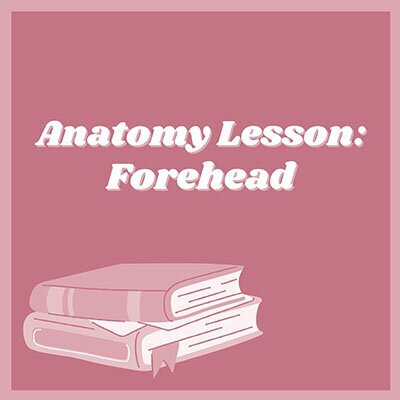 Anatomy Lesson: Forehead