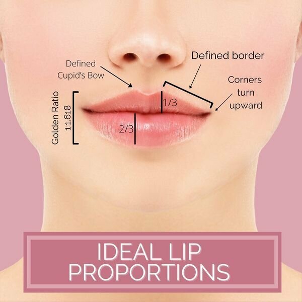 Infographic: Ideal lip proportions